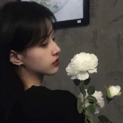 都道府县大战无敌版